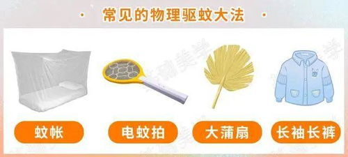 蚊子為何獨寵你？牙膏的妙用與防蚊科學