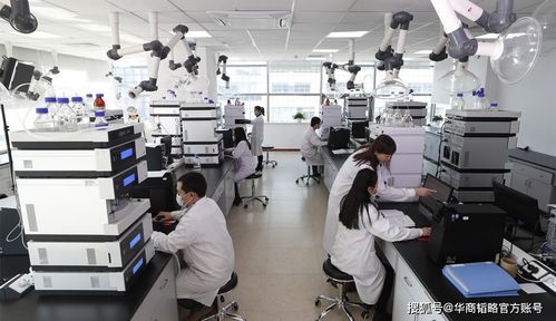 中國(guó)生物醫(yī)藥產(chǎn)業(yè) 破局與自強(qiáng)之路