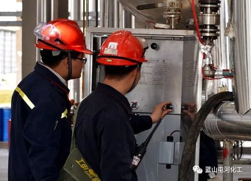 安委會開展專項檢查 筑牢生物科技研發安全屏障