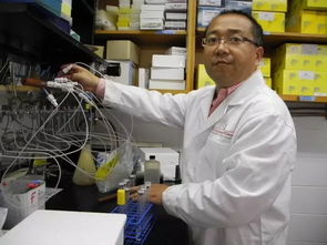 科技賦能，古樹新生 姜明國與生物科技讓六堡茶煥發青春